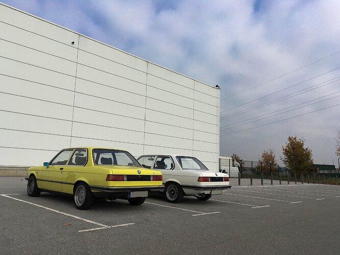 rsz_img_2310-1.jpg